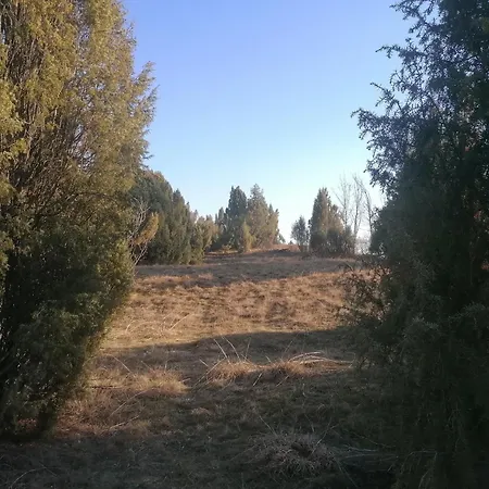 Lavanda * Emánueltelep