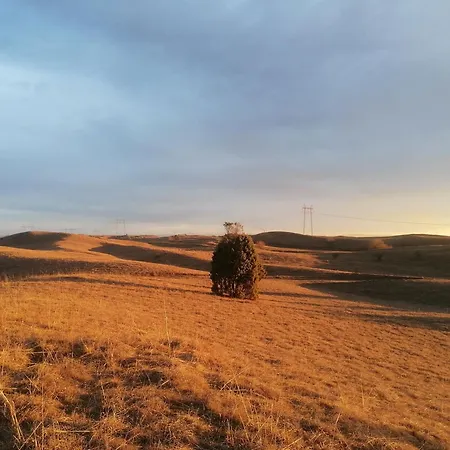 Lavanda * Emánueltelep