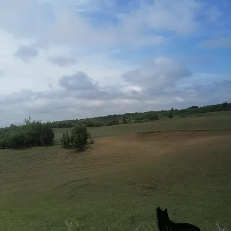 Lavanda شقة Sumarak