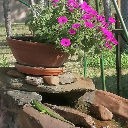 Lavanda Apartmán Sumarak